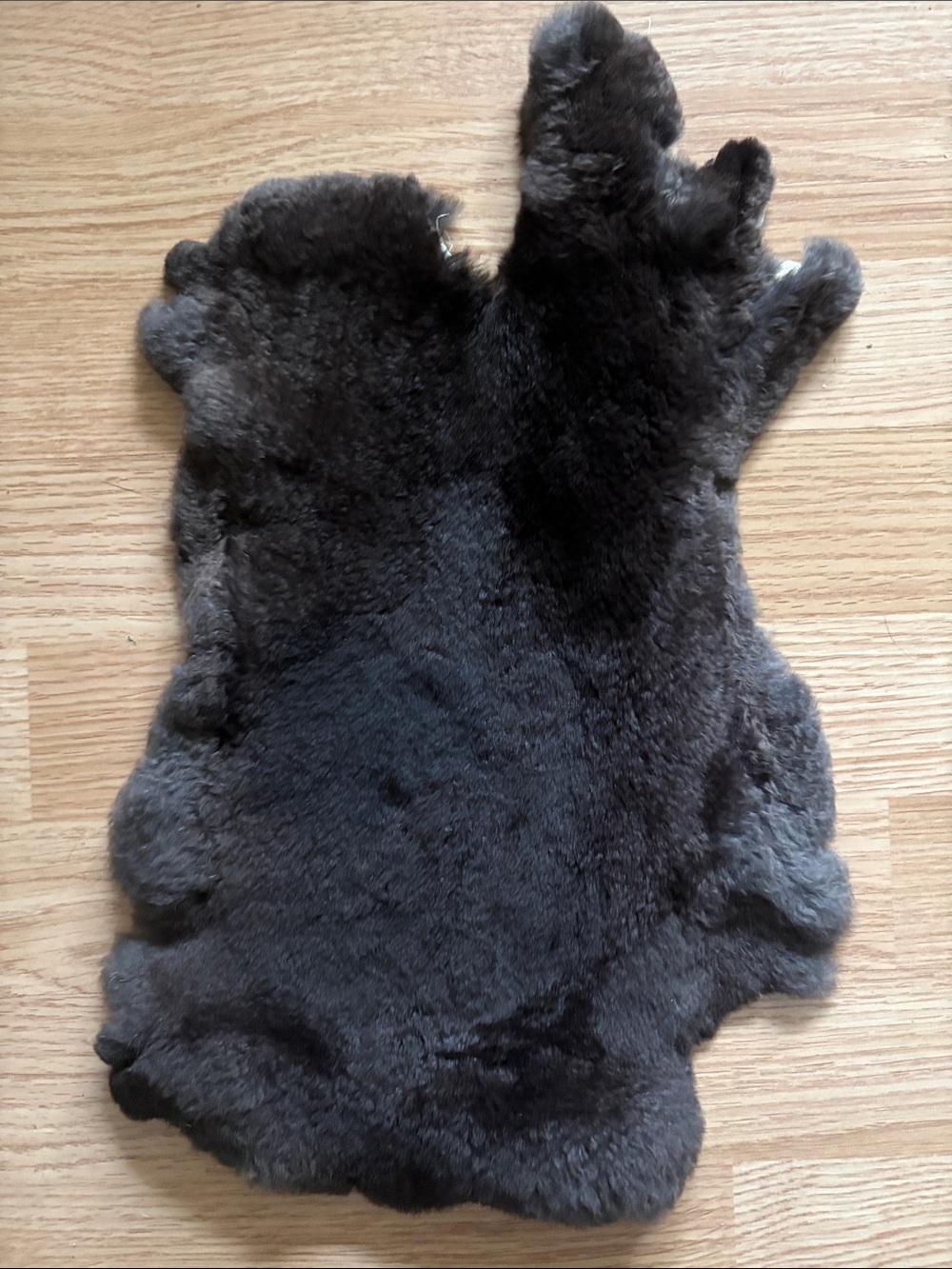 B0238 Rex rabbit hide craft supply